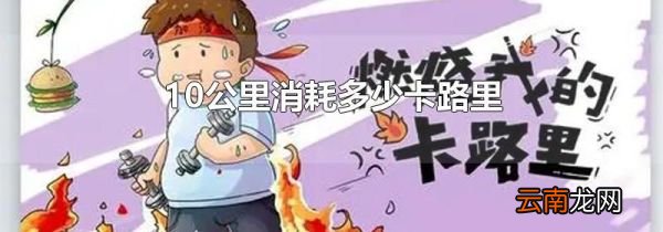 10公里消耗多少卡路里