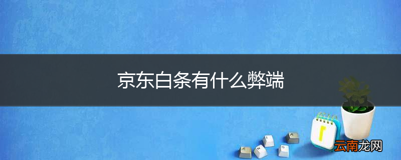 京东白条有什么弊端