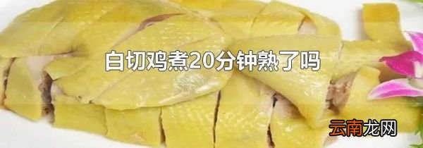 白切鸡煮20分钟熟了吗