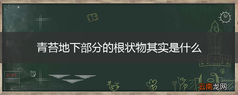 青苔地下部分的根状物其实是什么