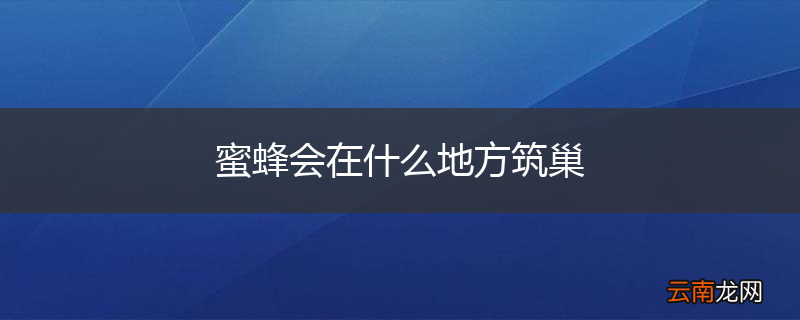 蜜蜂会在什么地方筑巢