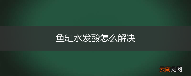 鱼缸水发酸怎么解决