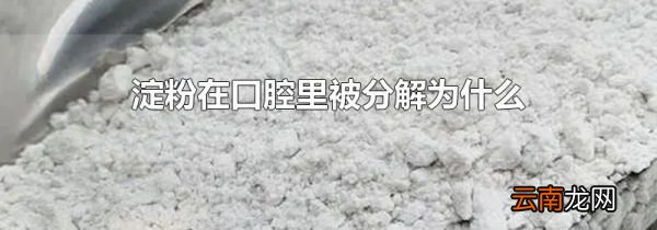 淀粉在口腔里被分解为什么