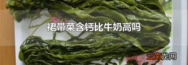 裙带菜含钙比牛奶高吗