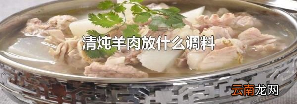 清炖羊肉放什么调料