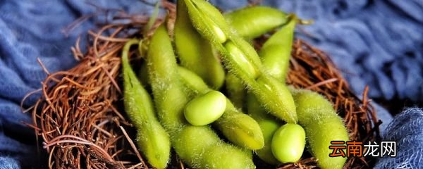 毛豆吃多了有什么坏处 毛豆一次最多吃多少