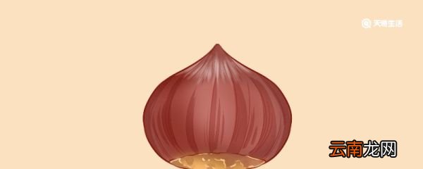 板栗怎么去皮和壳 剥生板栗皮的最快方法