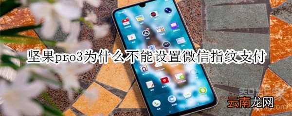 坚果pro3为什么不能设置微信指纹支付