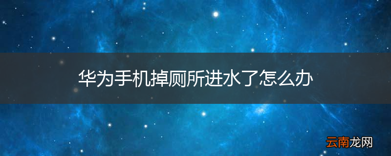 华为手机掉厕所进水了怎么办