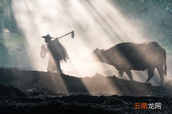《四时田园杂兴》古诗其一四时田园杂兴其一描写了什么