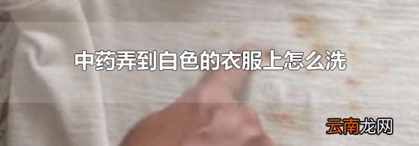 中药弄到白色的衣服上怎么洗