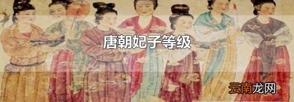 唐朝妃子等级