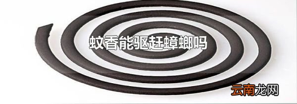 蚊香能驱赶蟑螂吗