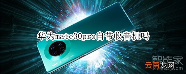 华为mate30pro自带收音机吗
