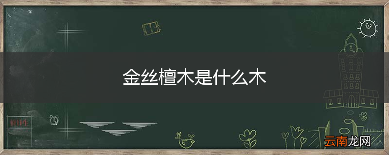 金丝檀木是什么木