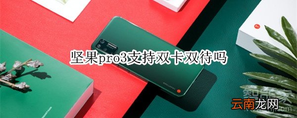 坚果pro3支持双卡双待吗