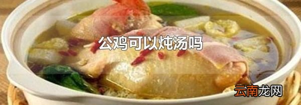 公鸡可以炖汤吗