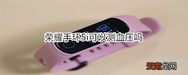 荣耀手环5i可以测血压吗