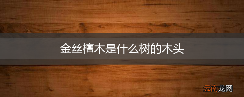 金丝檀木是什么树的木头