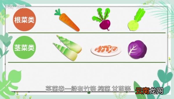 菜类有哪些种类 蔬菜有哪些种类