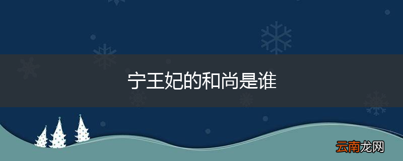 宁王妃的和尚是谁