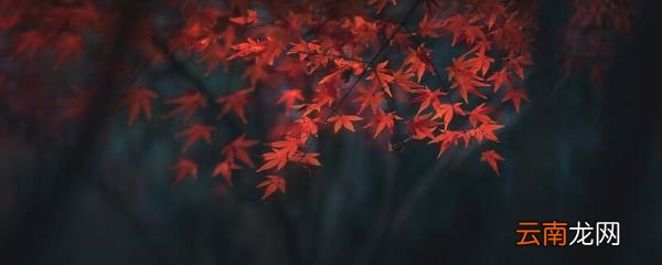 立秋古诗意思 立秋的诗意是什么