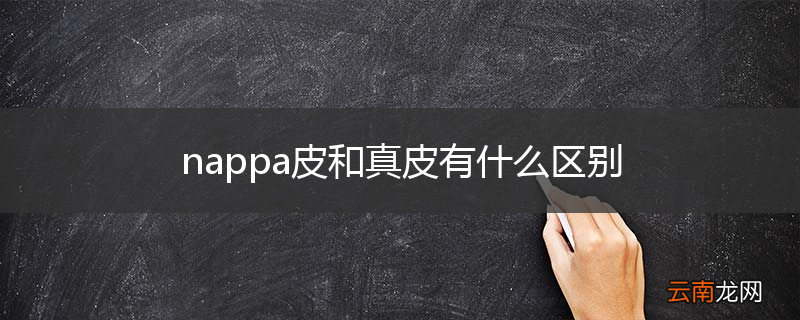 nappa皮和真皮有什么区别