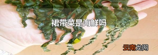裙带菜是海鲜吗
