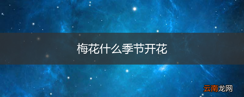 梅花什么季节开花