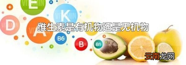 维生素是有机物还是无机物