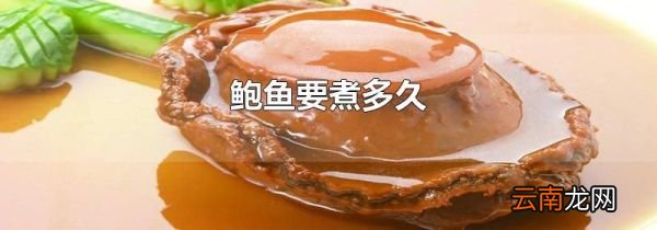 鲍鱼要煮多久