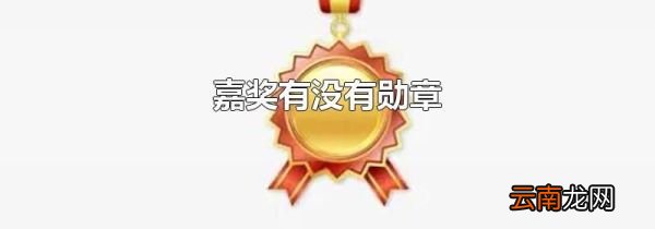 嘉奖有没有勋章