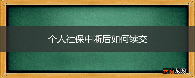 个人社保中断后如何续交