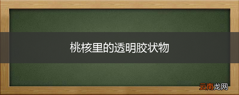 桃核里的透明胶状物