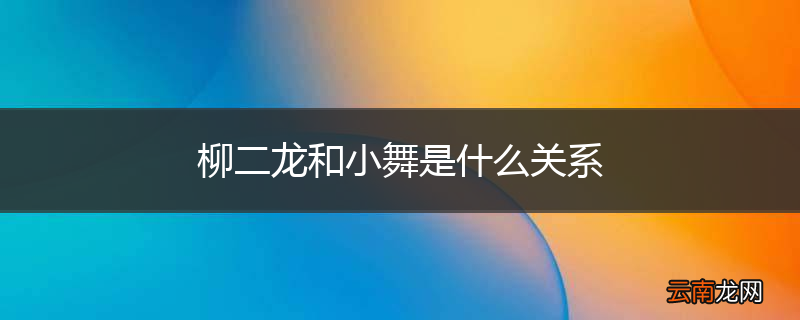 柳二龙和小舞是什么关系