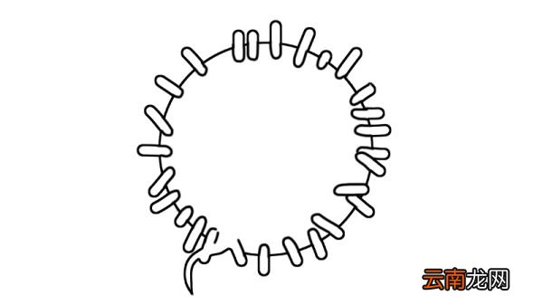 冠状病毒简笔画画法冠状病毒简笔画步骤