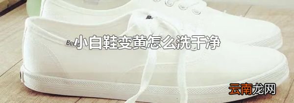 小白鞋变黄怎么洗干净