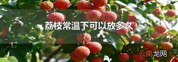 荔枝常温下可以放多久