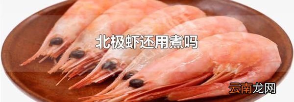 北极虾还用煮吗