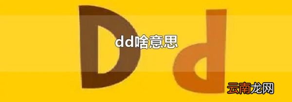 dd啥意思