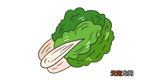 蔬菜简笔画的步骤蔬菜简笔画的画法