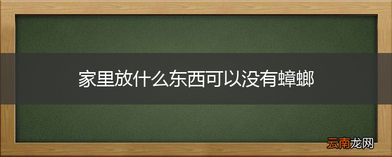 家里放什么东西可以没有蟑螂