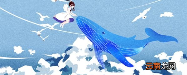 飞鸟与鱼不同路是什么意思 飞鸟与鱼不同路的道理