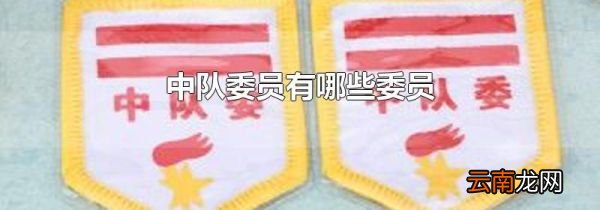 中队委员有哪些委员