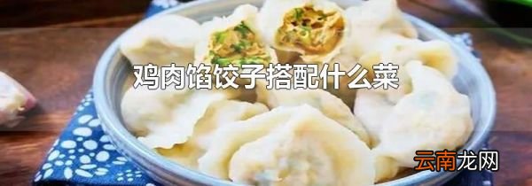 鸡肉馅饺子搭配什么菜