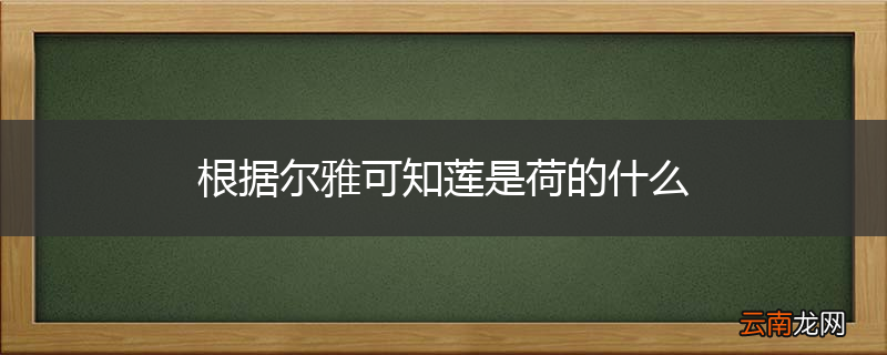 根据尔雅可知莲是荷的什么