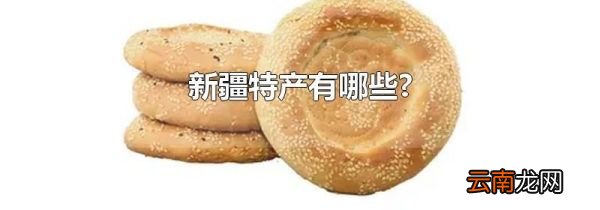 新疆特产有哪些?