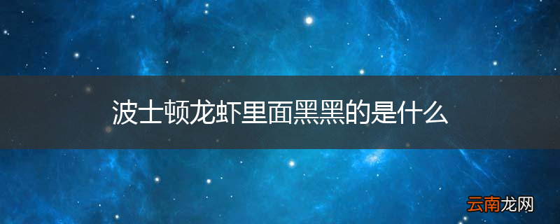 波士顿龙虾里面黑黑的是什么