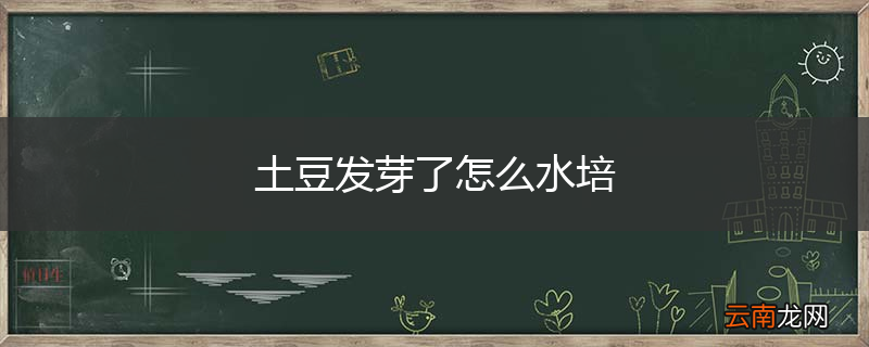 土豆发芽了怎么水培