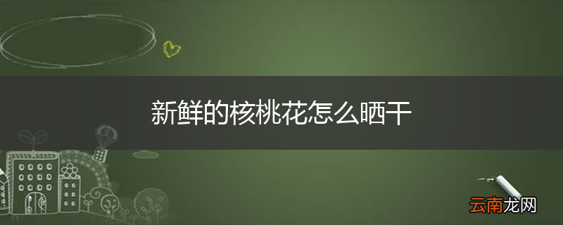 新鲜的核桃花怎么晒干
